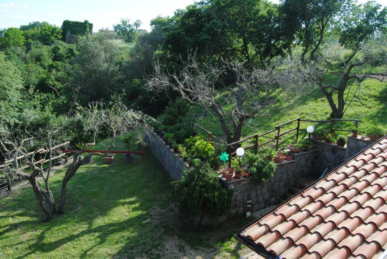 Villa Farfalla Bianca Vitorchiano Exterior photo