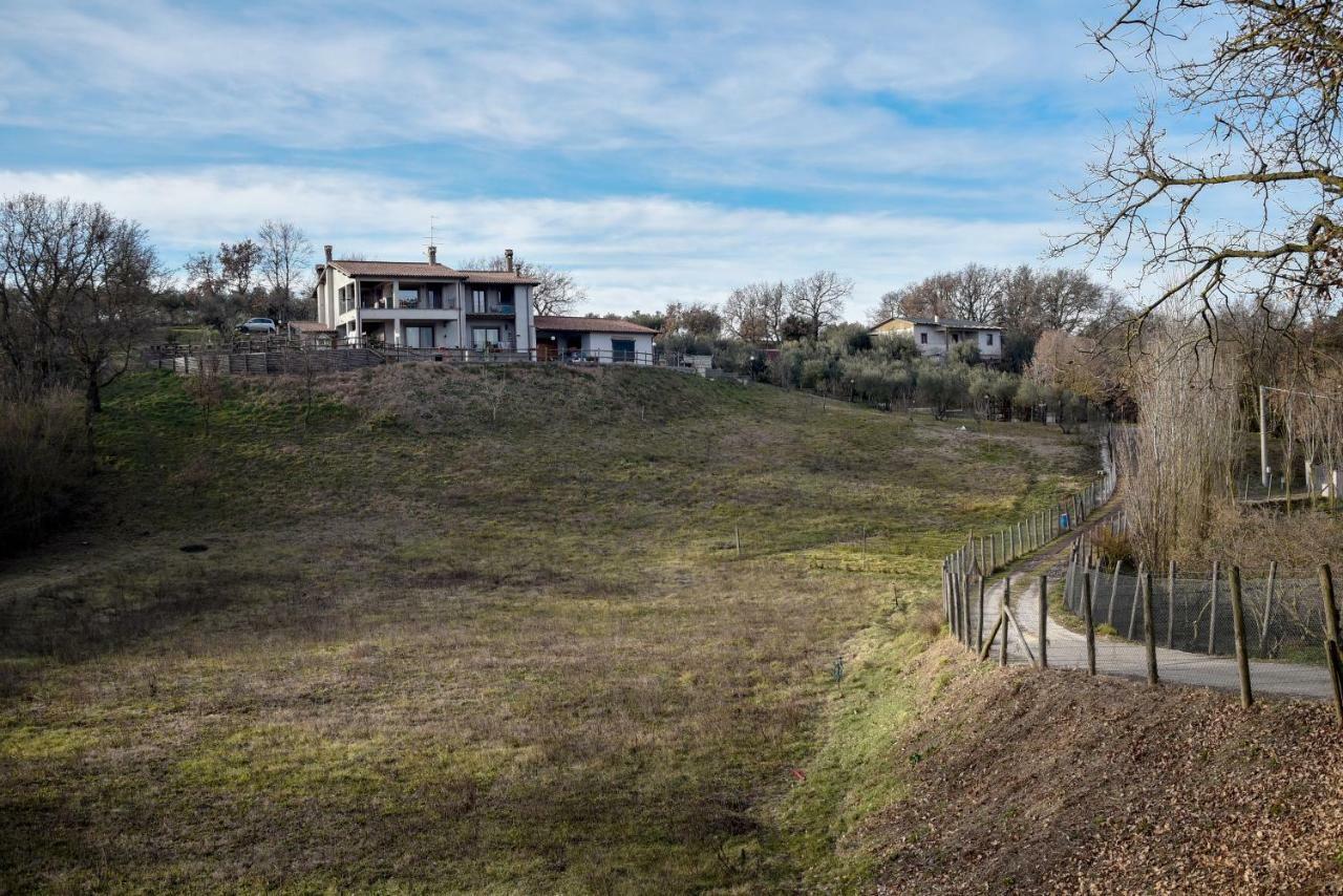 Villa Farfalla Bianca Vitorchiano Exterior photo